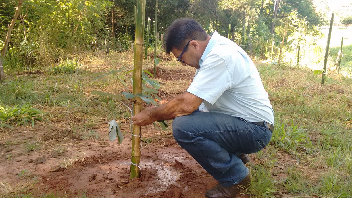 Secretaria de Agricultura e Meio Ambiente realizam o plantio de 72 mudas de espécies nativas na bica do antigo matadouro