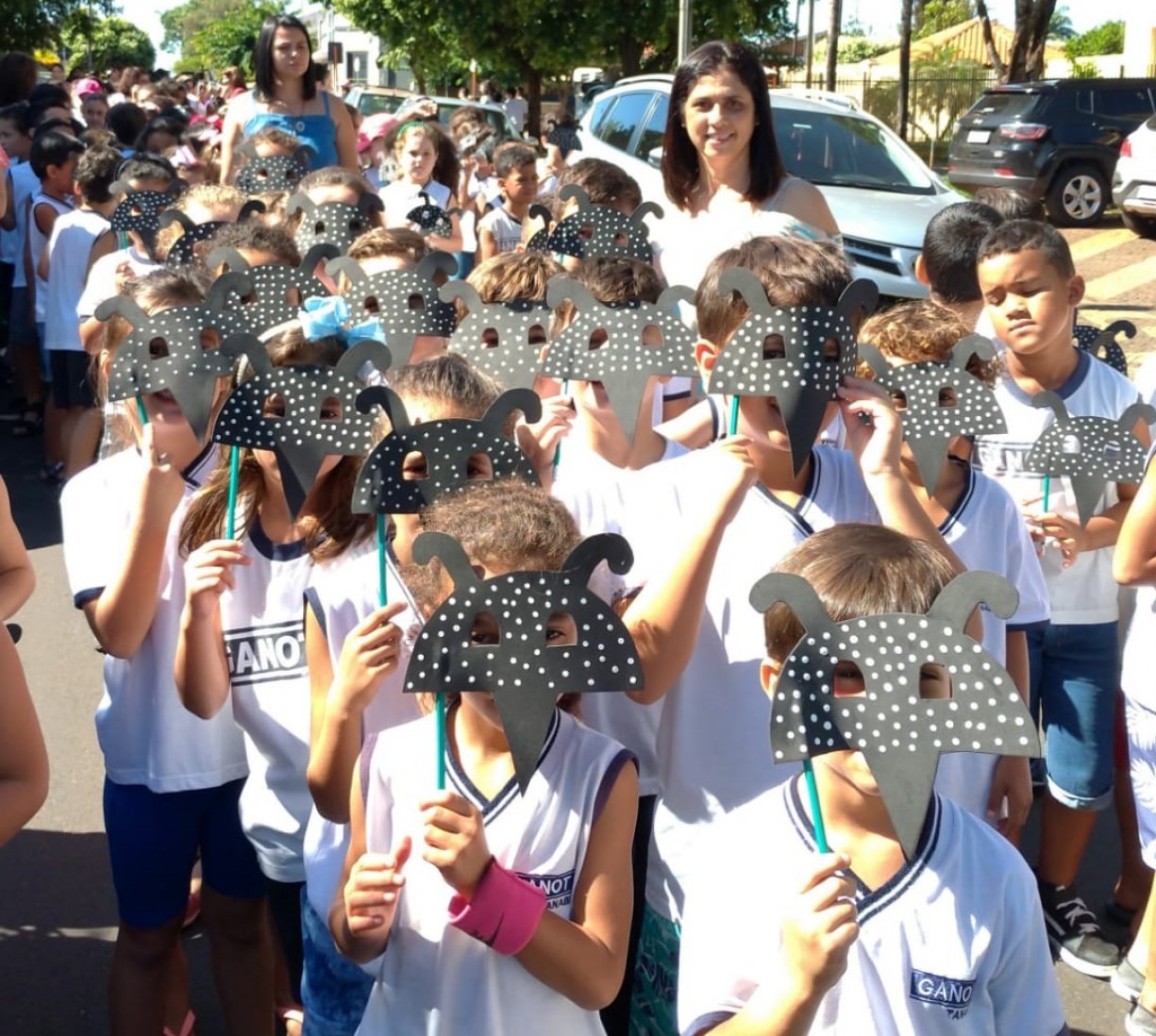 Palestras e passeatas mobilizam alunos contra a dengue