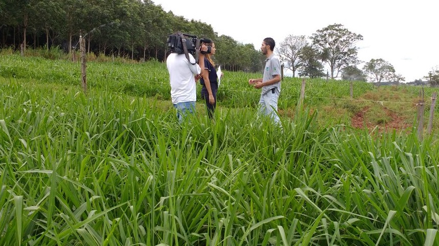 Tanabi foi destaque no programa Agro Record deste último final de semana