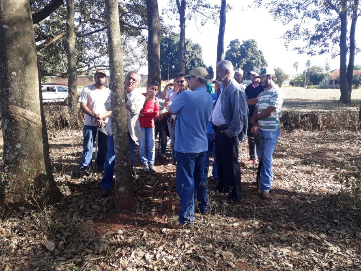 Agricultura e SENAR promovem curso de Sangria em Seringueira