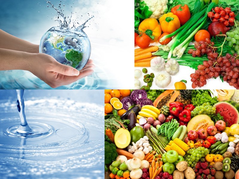 Prefeitura estará promovendo nos bairros do Ecatu e Ibiporanga, Oficina de Reaproveitamento de Alimentos e Higiene Sanitária e Oficina de Uso e Reuso da Água