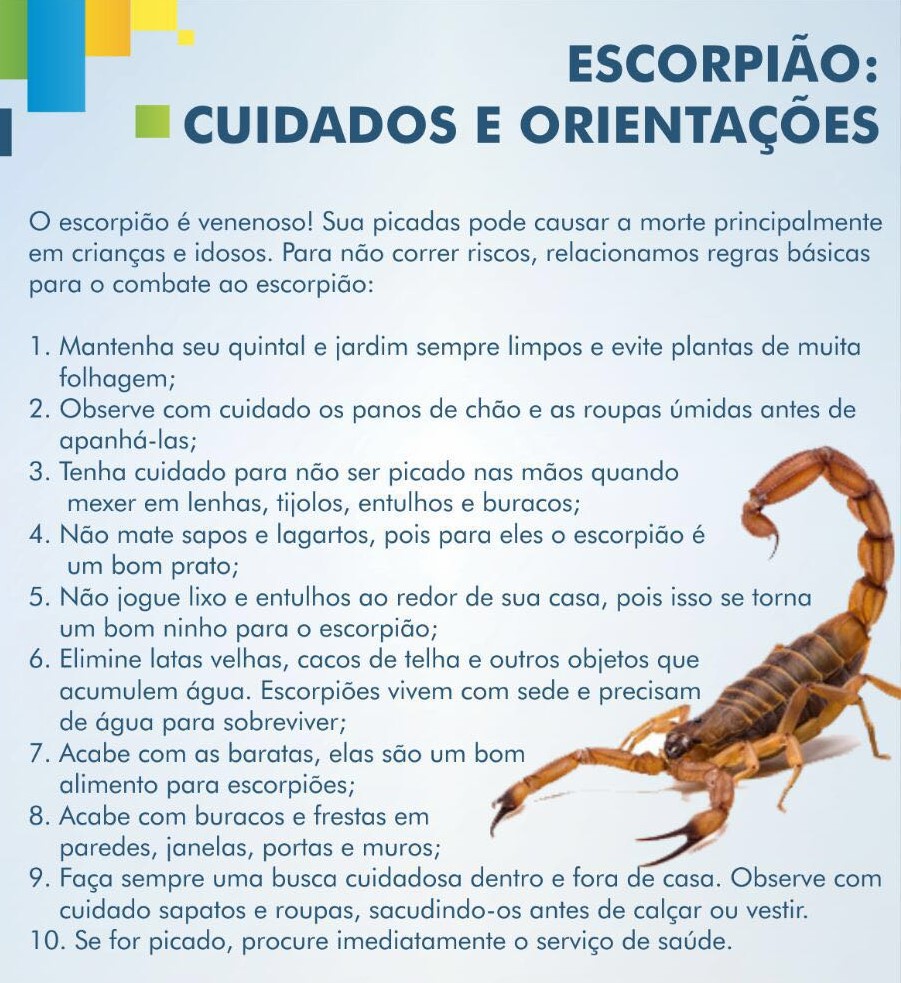 Escorpião: Cuidados e orientações