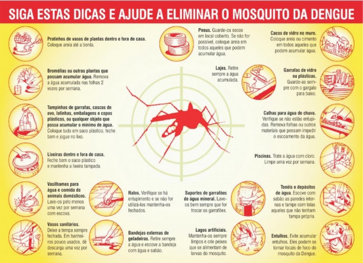 AJUDE A ELIMINAR O MOSQUITO DA DENGUE: TODOS NO COMBATE!