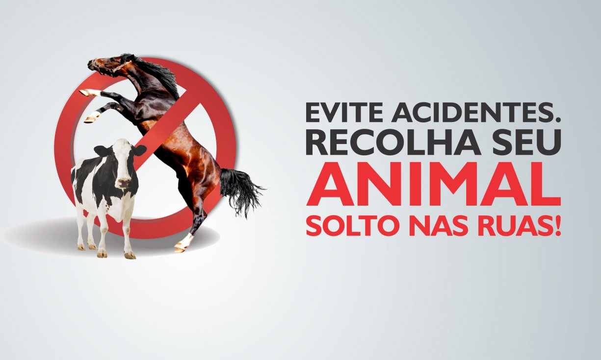 Atenção: Animais abandonados de médio e grande porte passam a ser recolhidos pela Prefeitura e proprietários serão multados