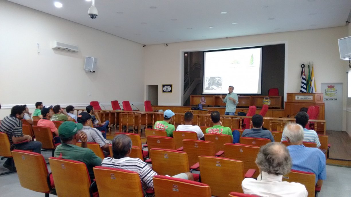 Agricultura e Meio Ambiente realizam hoje capacitação para podadores de árvores do município