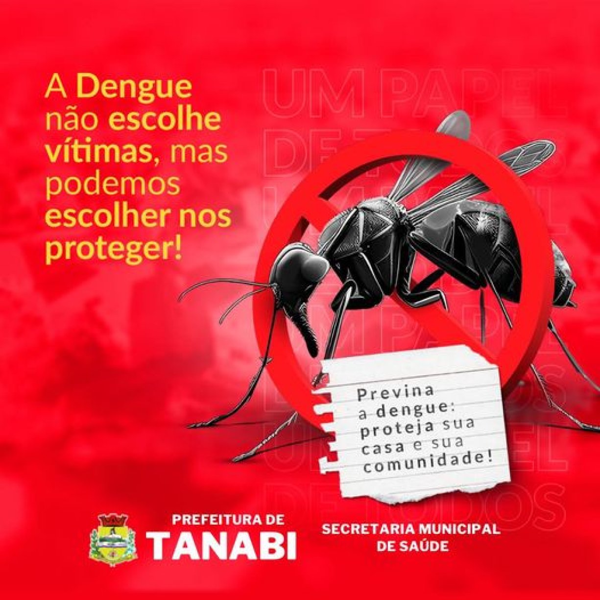 Combata a Dengue, Proteja sua Família!