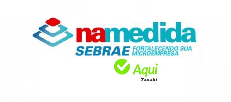 O SEBRAE Aqui de Tanabi realiza nesta terça-feira, dia 24, a Oficina “Na Medida”